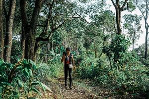 BIB: 
                            <button type="button" onclick="openModal(25660628)" class="btn btn-primary btn-sm float-right btn-popup" data-toggle="modal" data-target=".modal-high-quality">
                        <i class="fas fa-shopping-cart"></i> Add to Cart
                    </button>
                                            <button type="button" onclick="isThisMe(25660628, true)" class="btn btn-success btn-sm float-right btn-popup btn-isme hidden" data-toggle="tooltip" data-placement="bottom" title="นี่คือรูปของคุณใช่ไหม คลิกที่นี่เพื่อเอาเข้าอัลบั้ม">
                        <i class="fas fa-plus"></i> Add to album
                    </button>
                    <button type="button" onclick="isThisMe(25660628, false)" class="btn btn-warning btn-sm float-right btn-popup btn-isnotme hidden">
                        <i class="fas fa-ban"></i> Remove from album
                    </button>